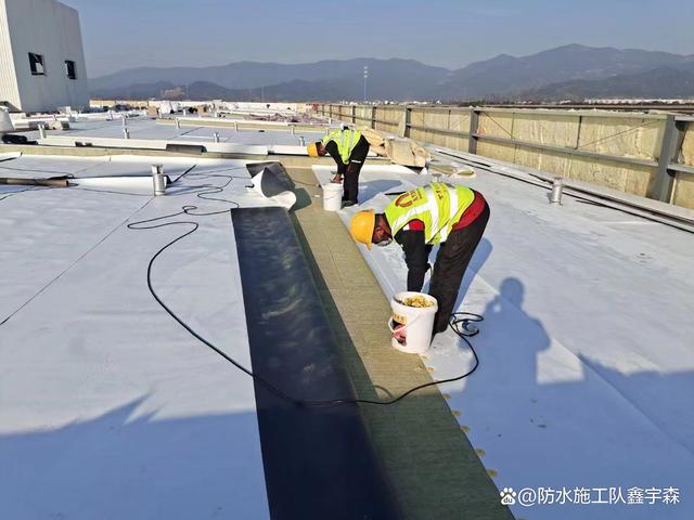 新型TPO防水卷材施工技术解析及其市场销售策略